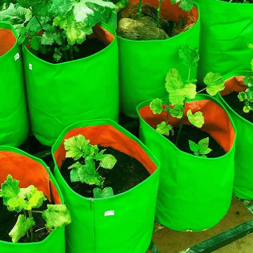 Non-woven or woven grow bags filled with soil and plants