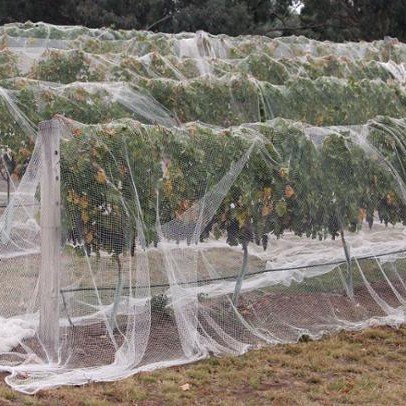 Green shade net covering a plant nursery