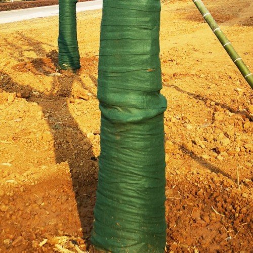 Young tree trunk wrapped with protective woven fabric sleeve