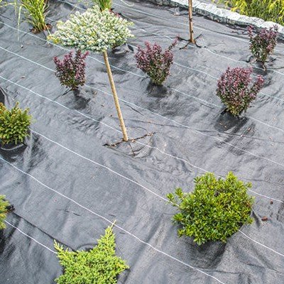 Black woven weed control mat laid on soil between crop rows