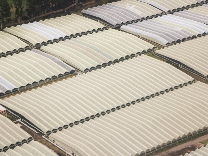 Woven polypropylene fabric used as greenhouse cover or weed mat in agricultural field