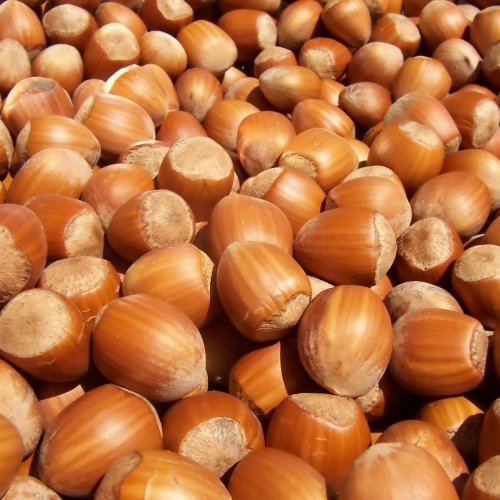 Nuts and dried fruits in woven packaging
