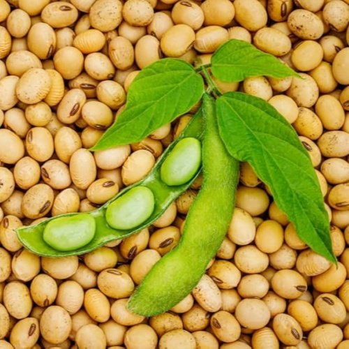 Beans and pulses in woven sack
